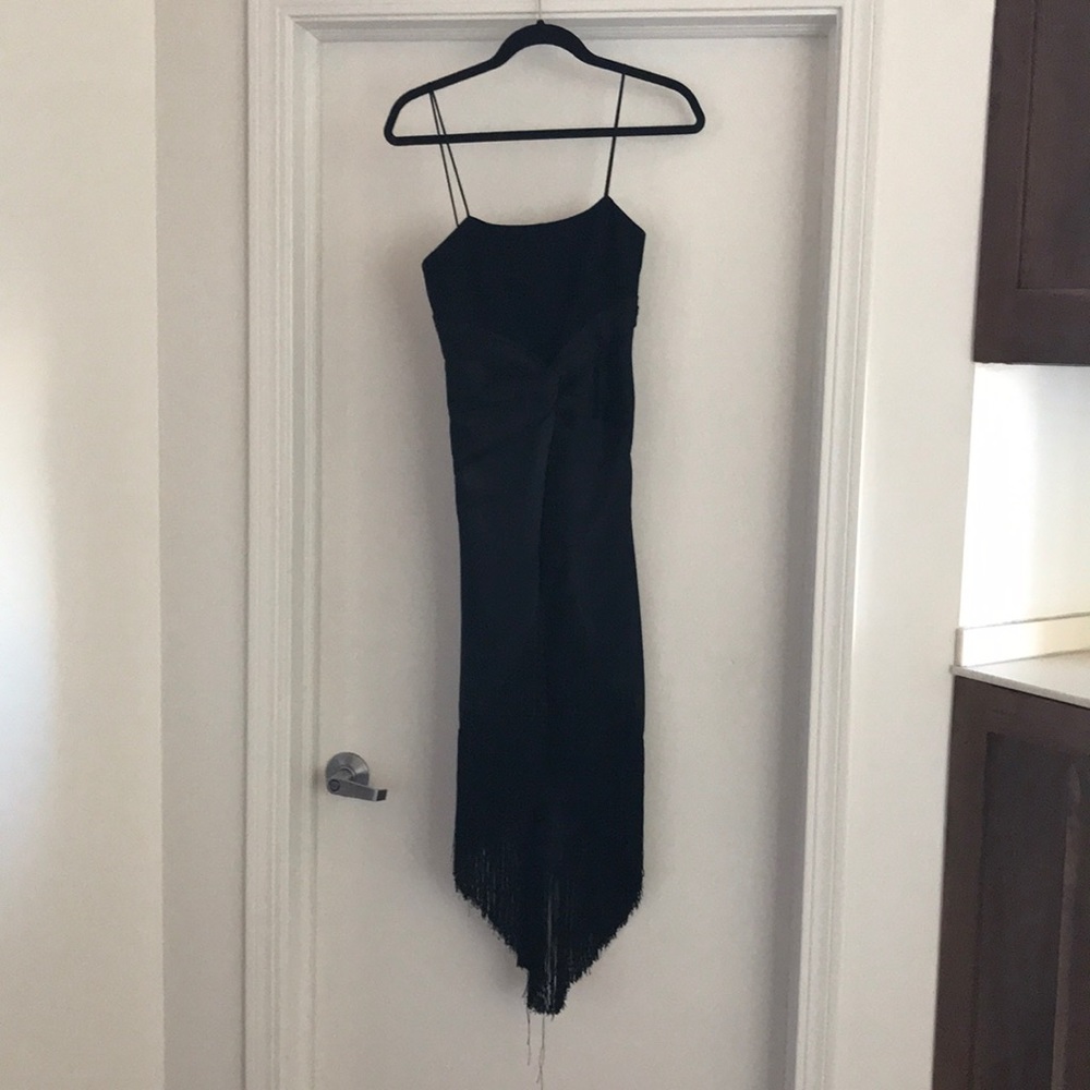 Cinq a sept tolerate fringe dress
